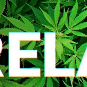 Meet your Posher, Yurboy